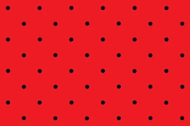 Ladybug 12x12 Inch Printable For Scrapbooking And Paper Crafting ...