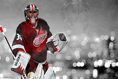 NHL Detroit Red Wings Hockey Jimmy Howard Wallpapers HD. Free ...