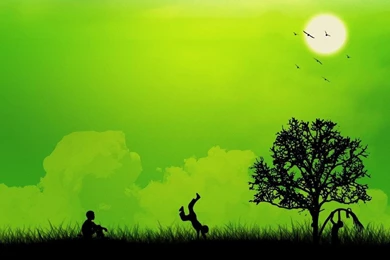 Latest Wallpapers 22   Best Wallpapers Collection