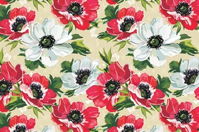 Pretty Flowers iPhone Wallpapers