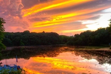 640x1136 Pretty Sunset Trees & Sea Iphone 5 Wallpapers