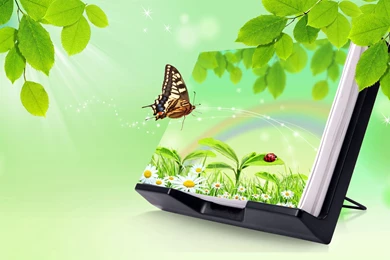 3D Nature, Latest, 1920x1200 HD Wallpapers And FREE Stock Photo