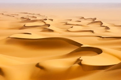 Desert Sand Dunes Wallpapers