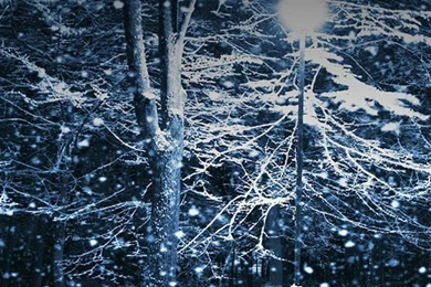 Live Christmas Wallpapers Iphone