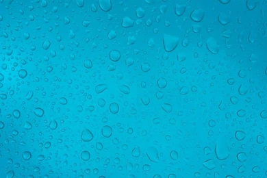 750ml Archives   The Minton Spring Water Co LTD