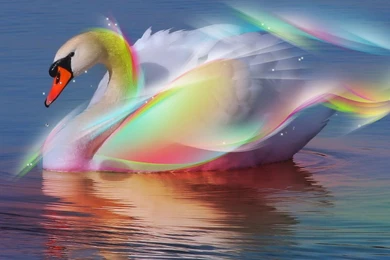 Rainbow Happy New Year 2016 Free Wallpapers Dow