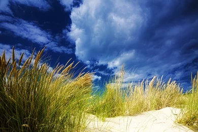 Private Prisons Found To Offer Little In Savings, Dunes Beach ...