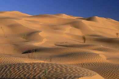 2015 10 08   Page 155