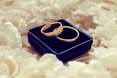 Two Wedding Rings With White Flowers