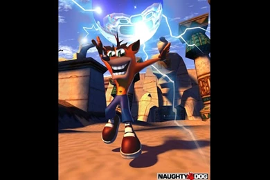 Gallery For   Crash Bandicoot 3 Wallpapers