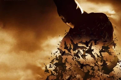 Images And Videos For This Album