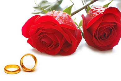 Red Rose With Wedding Ring Wallpapers