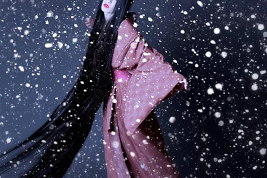 MEMOIRS OF GEISHA WALLPAPER   (