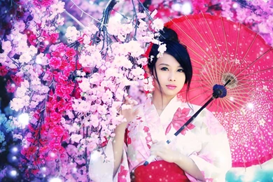 Geisha Wallpapers 1920x1200   ImgMob