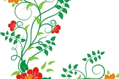 DISCONTINUED PATTERN WALLPAPER