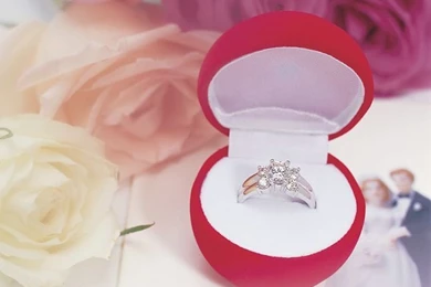 Wedding Ring Picture   Wedding Ring Wallpapers 6   Wallcoo.net