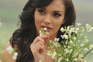 Amy Jackson Hot HD Wallpapers 2014