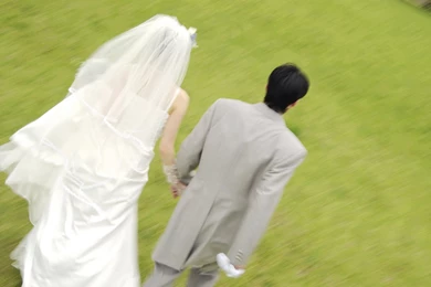 Wedding Flower Wallpapers Wedding Ring 4092   Wedding Flowers ...