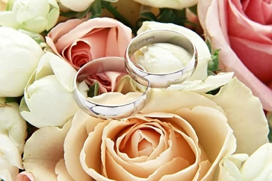 Wedding Rings Picture   Wedding Rings Wallpapers 4   Wallcoo.net