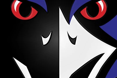 iPad Wallpapers With The Baltimore Ravens Team Logo