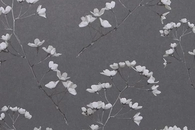 Jocelyn Warner Book Three