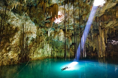 New Amazing Underwater Wallpapers