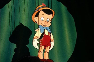 The Catholic Faithful: The Upcoming Schism