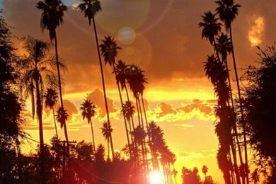 Hipster On Pinterest