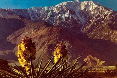 Mt San Jacinto Southern California   Nature Wallpapers Image ...