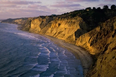 The California Clinic™