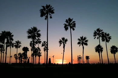 Exploring California: Part 1 – University Of Leicester