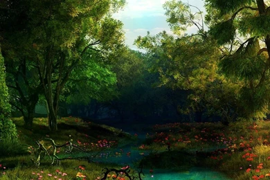 Spring Time Forest Wallpapers PC Desktop 623