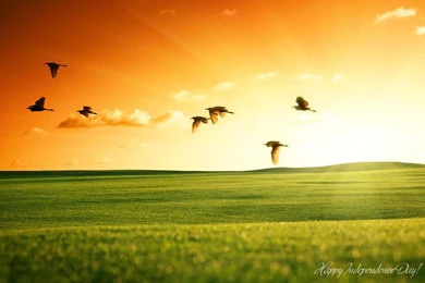 69th Independence Day HD Wallpapers & Quotes   India ...