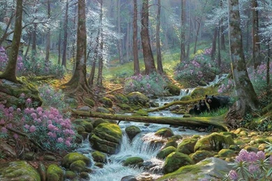 Spring Forest Wallpapers