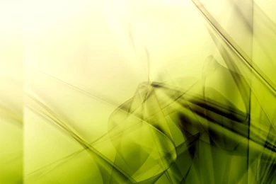 Designer Wallpaper Background 2.jpg