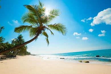 Coastal Seashore Wallpapers   HD Images New