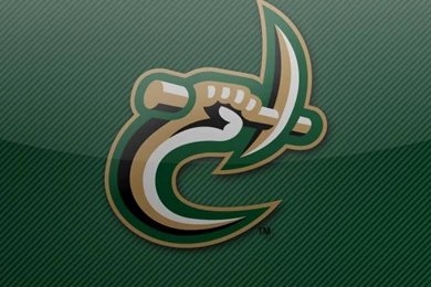 UNC Charlotte 49ers iPhone 5 Wallpapers   Colleges In North Carolina