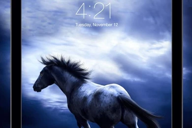 Free Wallpapers   Best Wallpapers & Backgrounds For Home & Lock ...