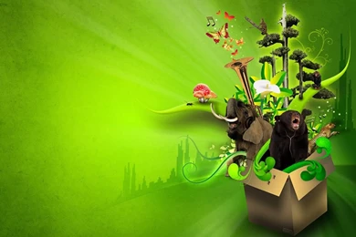 All Green Wallpaper Backgrounds Free   Awesome Hd Wallpapers For ...