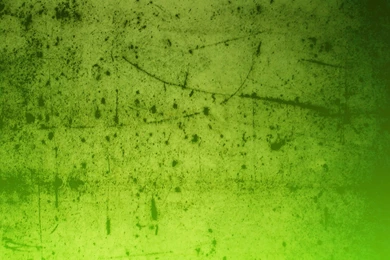 Green Theme Wallpapers   IDowns!   Download Free Vector,PSD,FLASH ...