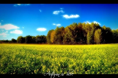 Desktop Wallpapers 1280X1024   HD Wallpapers And Pictures