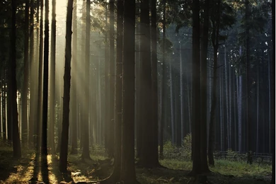 Bao Op Here Thanks Lot