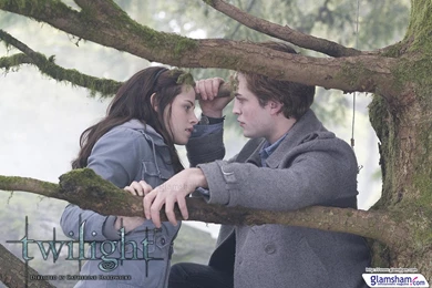 Twilight Movie Wallpapers 21168   Glamsham