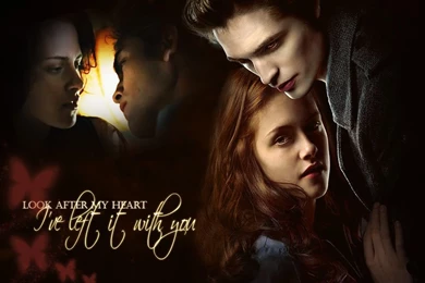 Wallpapers Twilight Guide 433438