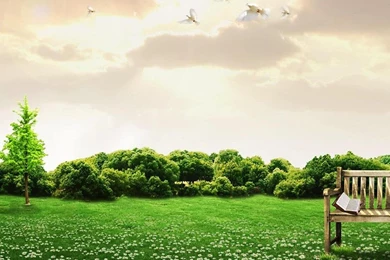 Relax Live Wallpapers   Android Apps And Tests   AndroidPIT