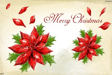 Fine_merry Christmas Cards Wallpapers