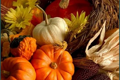 All Time Best Thanksgiving Quotes. QuotesGram