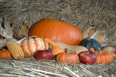 Thanksgiving wallpaper free mac 30.jpg