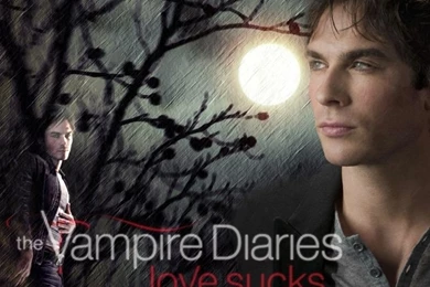 The Vampire Diaries   Damon 2   Team Damon! Wallpapers (15811865 ...