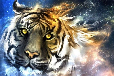 Animal tiger wallpaper.jpg